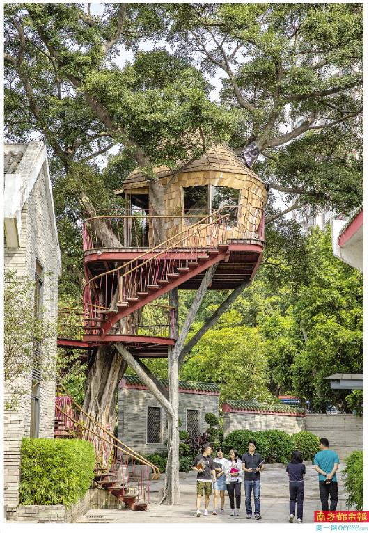 粮仓里的电商大咖藏着全广州最高树屋