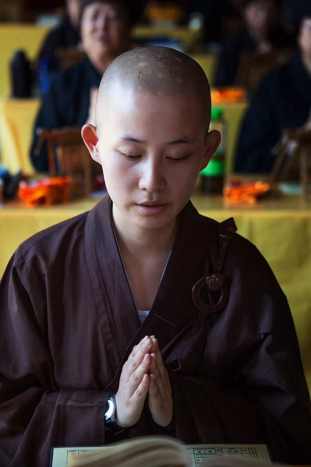 马宝力摄影作品赏析 ·《探访二十三届黄山翠微寺华严法会》