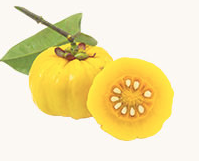 韩国减肥药排行榜前10名_2023全球电信运营商排名50强最新世界电信公司排行榜前50名(2)