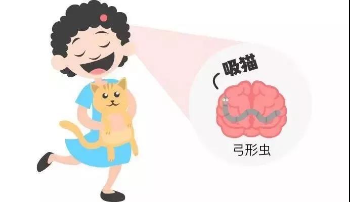 孕期养宠物,真的会感染弓形虫病吗?