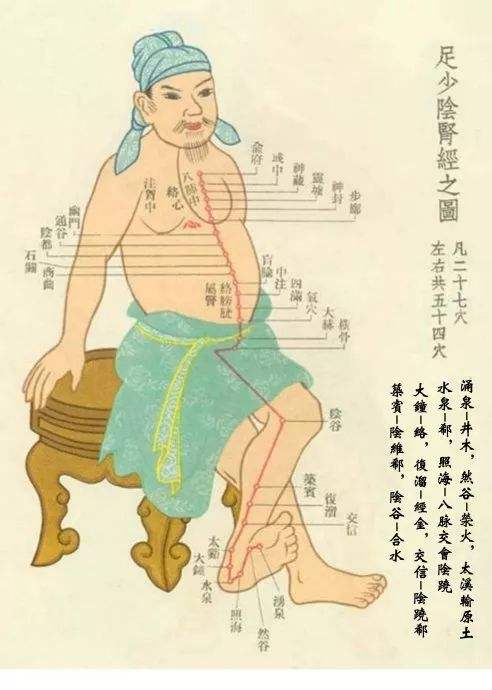 常推肾经养生养颜更益肾