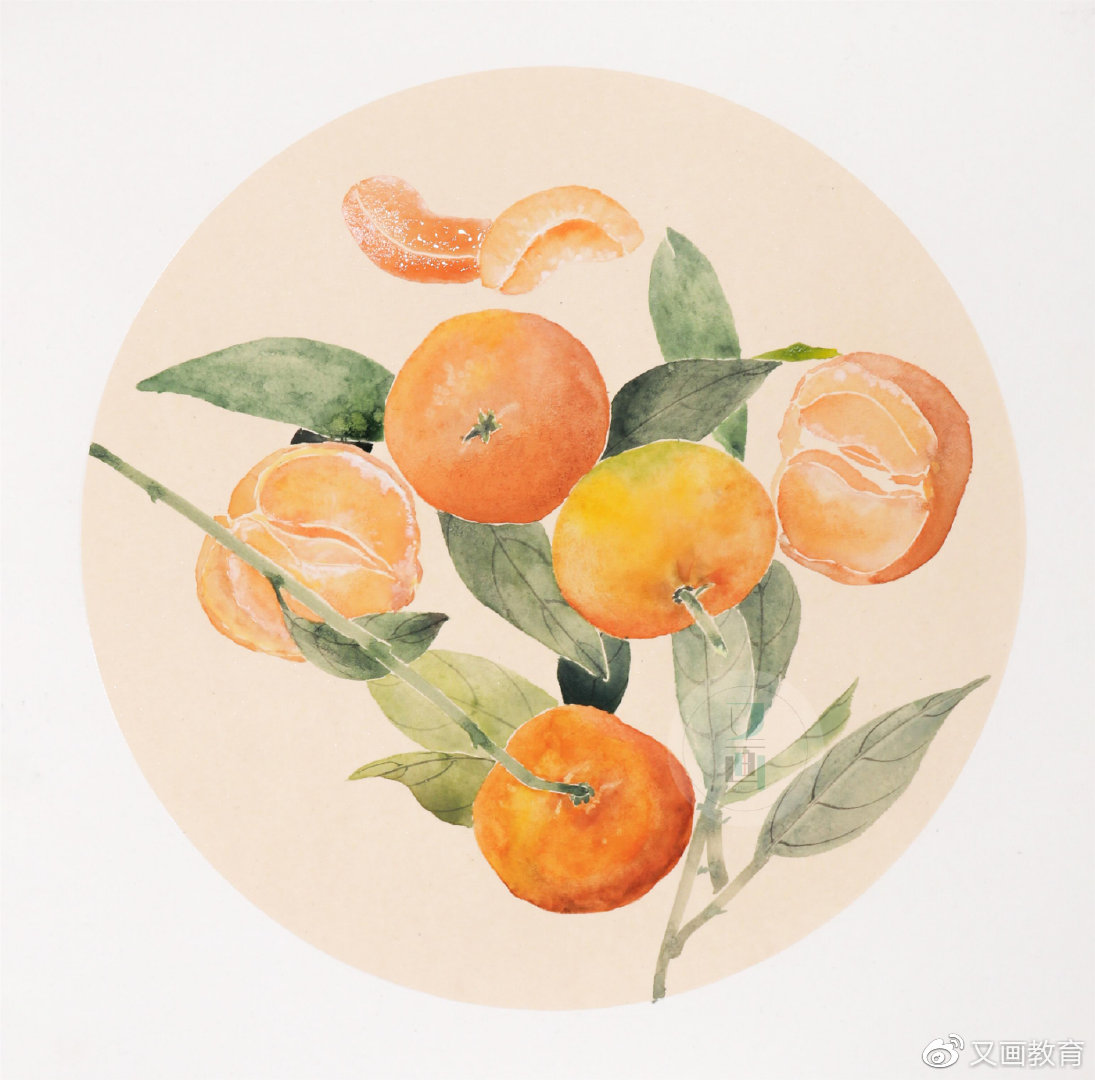 国画教程没骨橘子