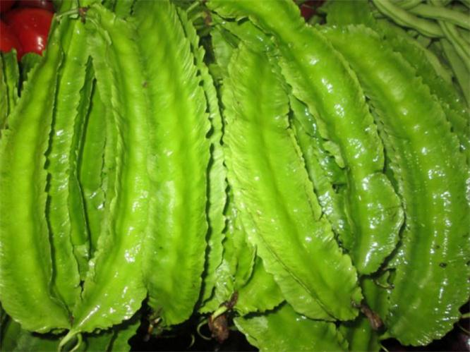 夏天了不防多吃3种蔬菜促进排毒美肤养颜早吃早受益