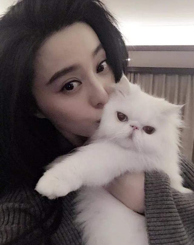 范冰冰发这张猫照有玄机祝李晨生日快乐男方曾发过同一张照片