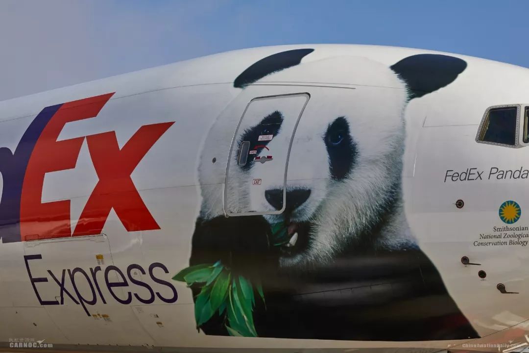 大熊猫贝贝搭乘fedex熊猫快递号从美国抵达中国