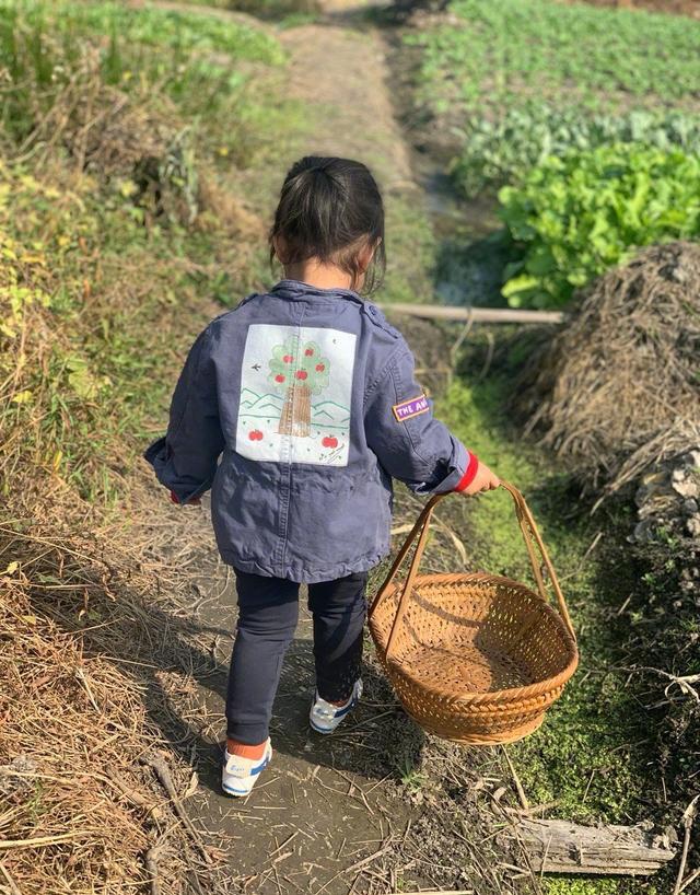朱丹晒女儿背影照 萌娃菜地拔萝卜画风可爱