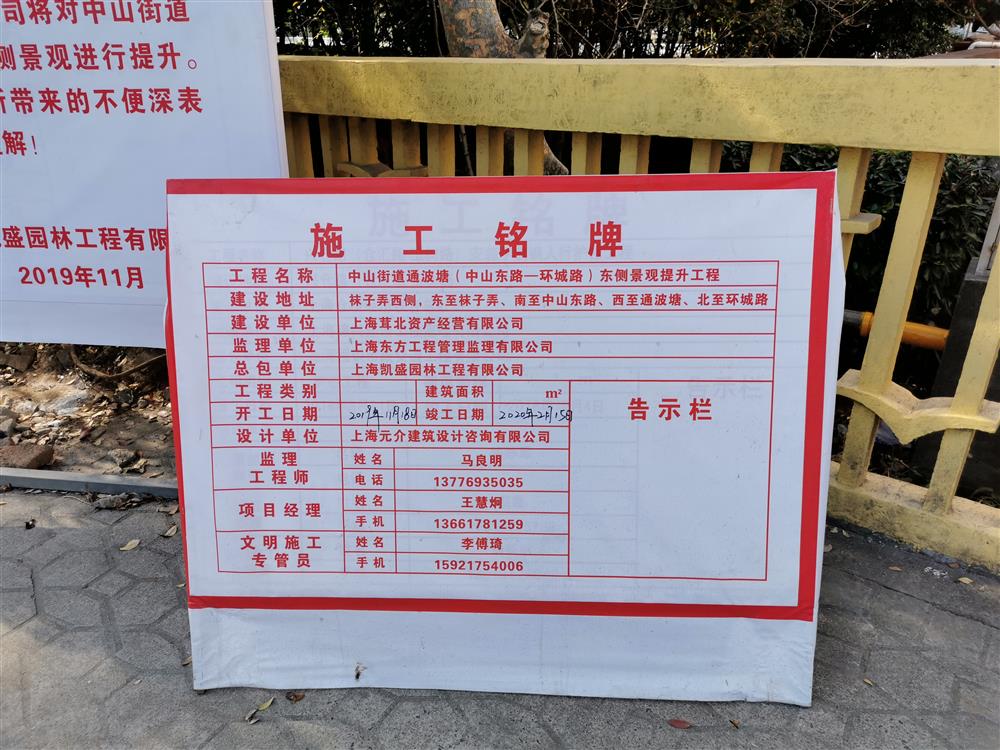 松江老城区内河岸景观树大半枯死一砍之后当痛定思痛