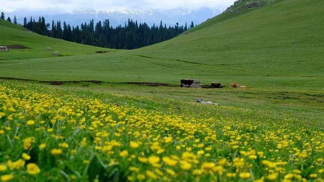 仁清法师大乘道的修持以小乘道的行法做基础