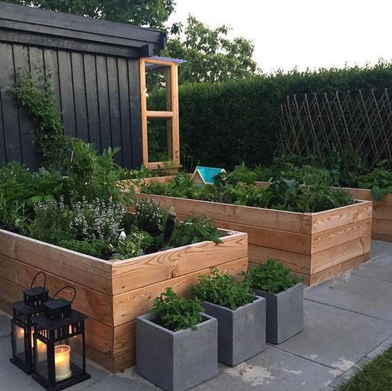 在大庭院里设计一处菜园是非常好看的,风格与建筑要统一,可以采用篱笆