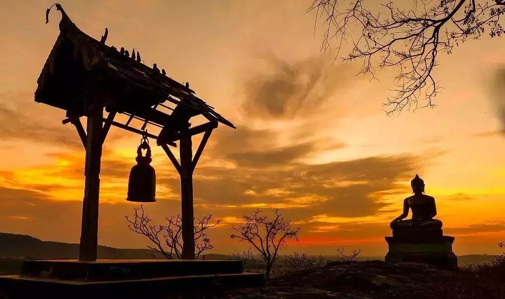 每日一偈丨摄心入禅时以觉观为恼