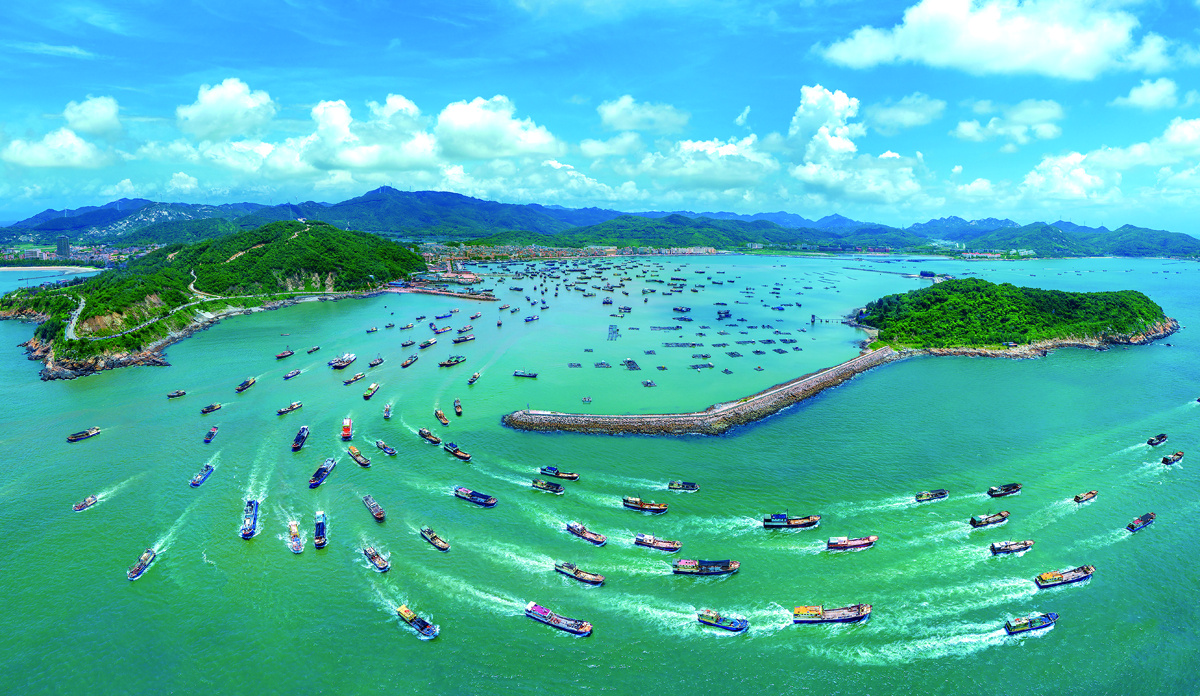 国庆特别报道|阳东区:奋力打造大湾区产业延伸拓展区