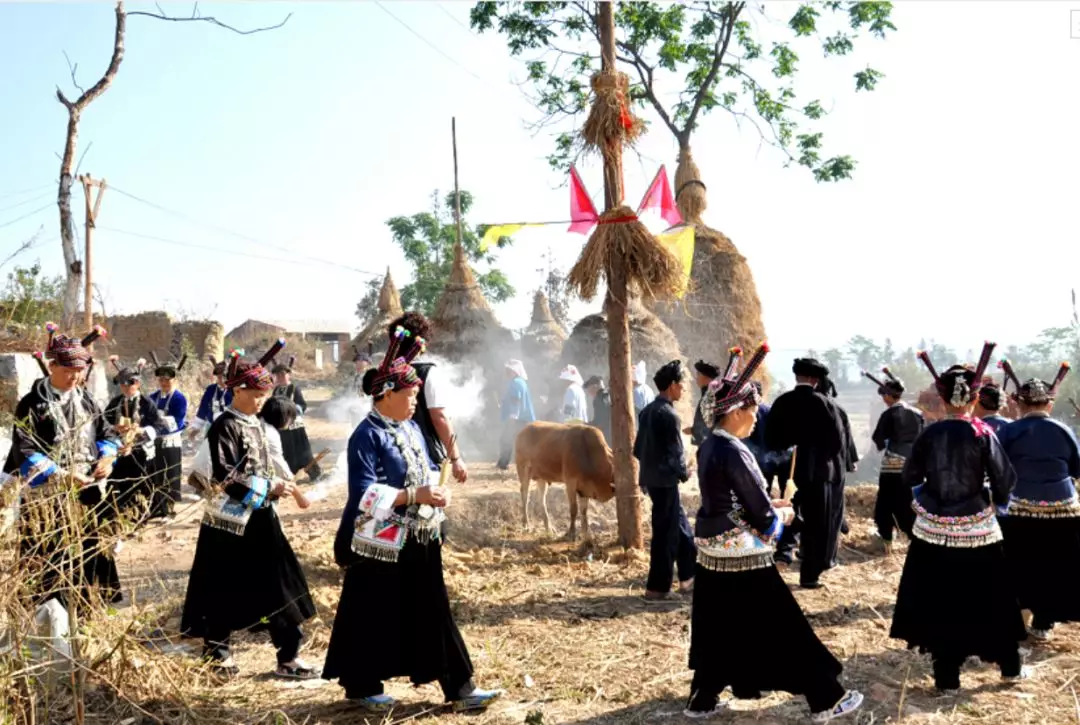 你听过"牛王节"的传说吗?