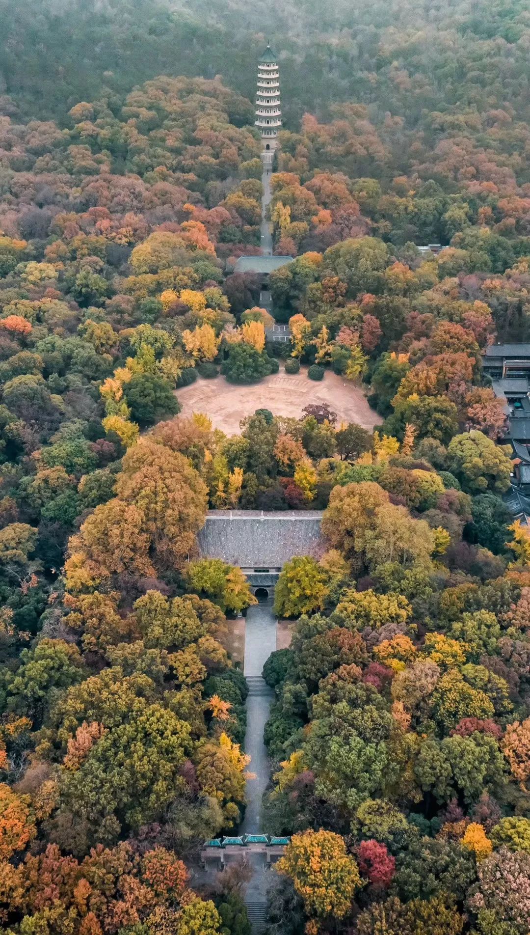 南京紫金山风景区图片