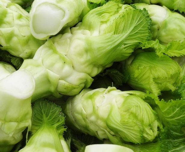 儿菜营养丰富品质细嫩味道鲜美在家自制榨菜香辣美味超赞