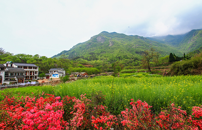 鄉村振興河南實踐│信陽市商城縣旅遊熱中的命運共同體