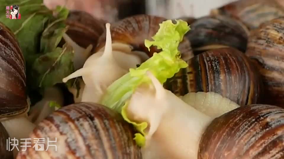 看可爱的小蜗牛吃菜叶,小小洁白的身体蠕动着,网友:竟然这么能吃