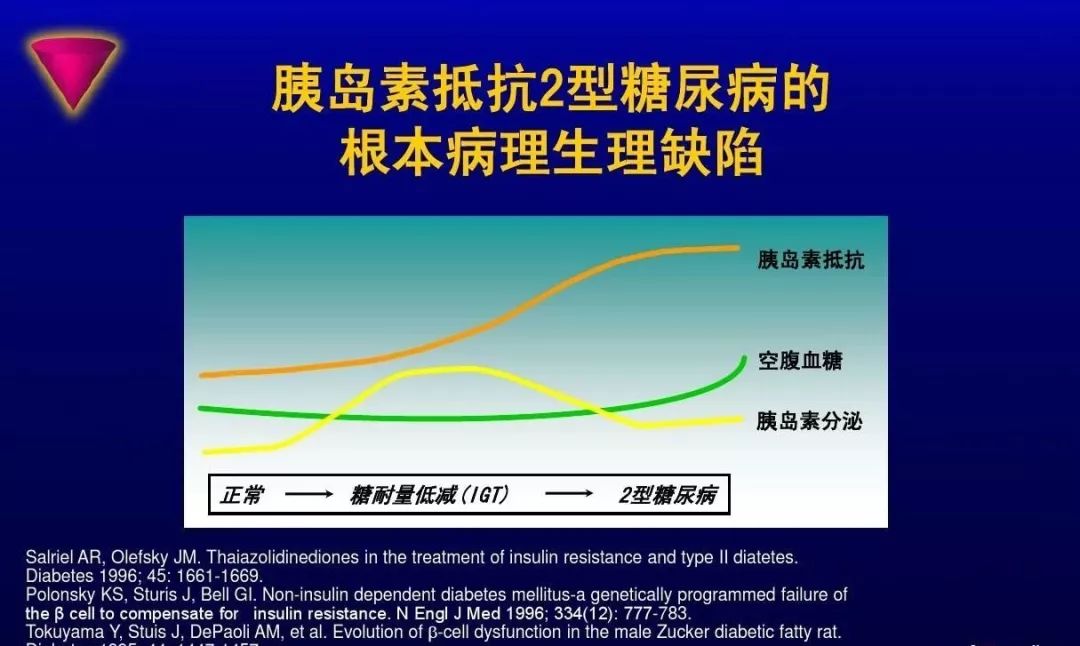 普通级,专业级,骨灰级胰岛素抵抗评估方法排行