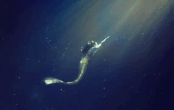 和美人鱼为爱鼓掌需要注意什么