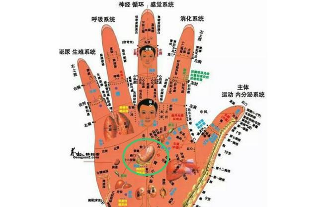 手上有个胃反射区,出现这3种斑点要小心