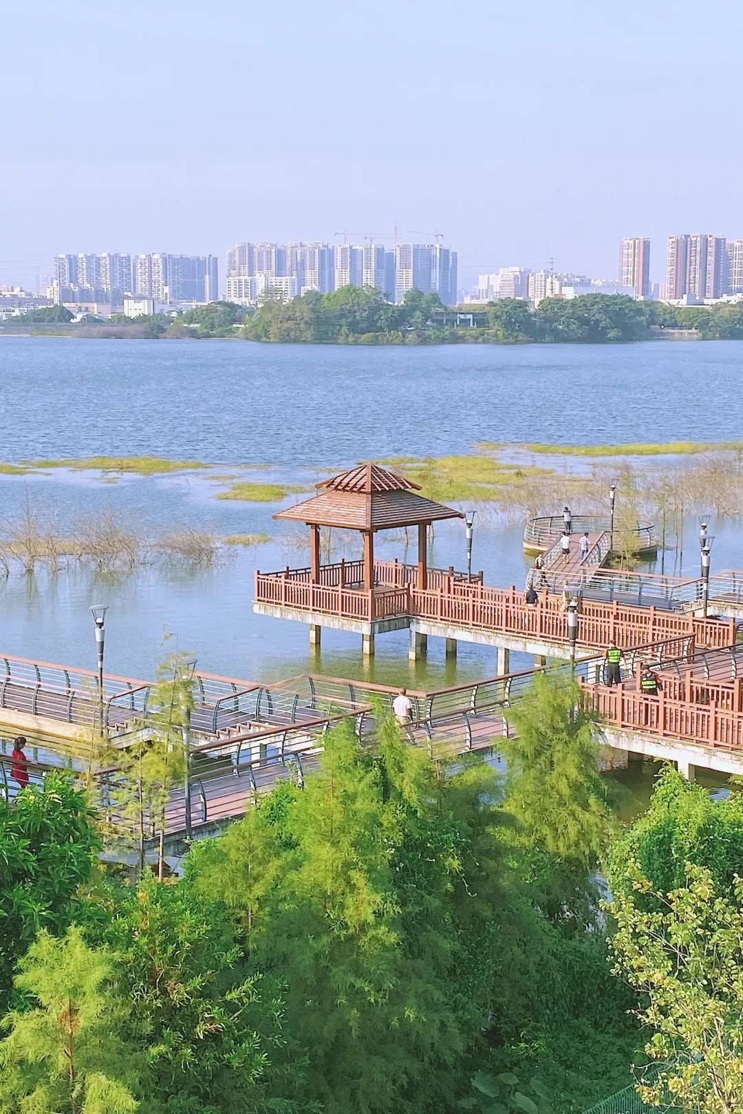 周末来深圳「小西湖」,赏秋冬之美__凤凰网