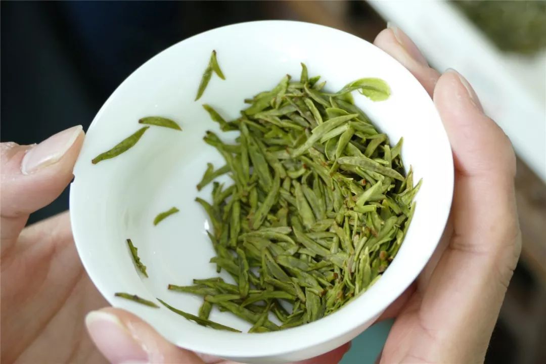 平阳黄汤问鼎中茶杯第九届 国际鼎承茶王赛黄茶组金奖