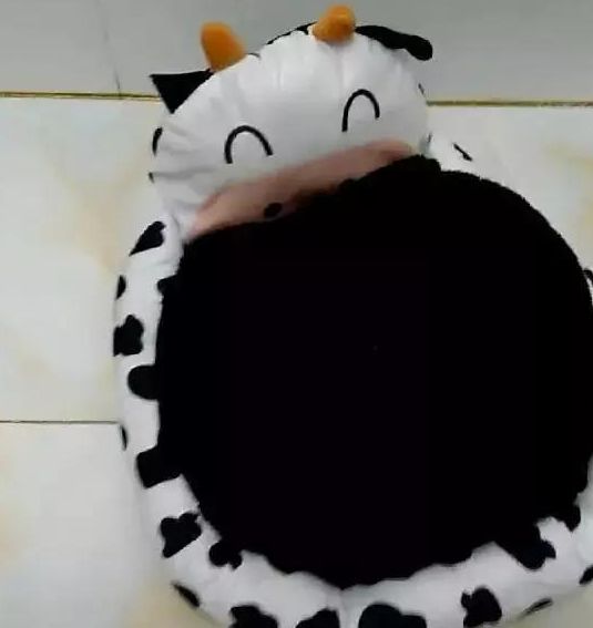 狗狗:我不就隐身了十分钟,看把你吓的