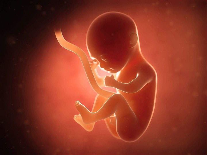 这3个月是胎儿大脑发育黄金期补对了宝宝智商只高不低