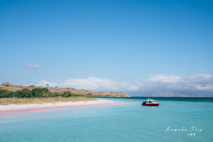 水象科技:菲律宾的粉色沙滩,透着少女的小清新