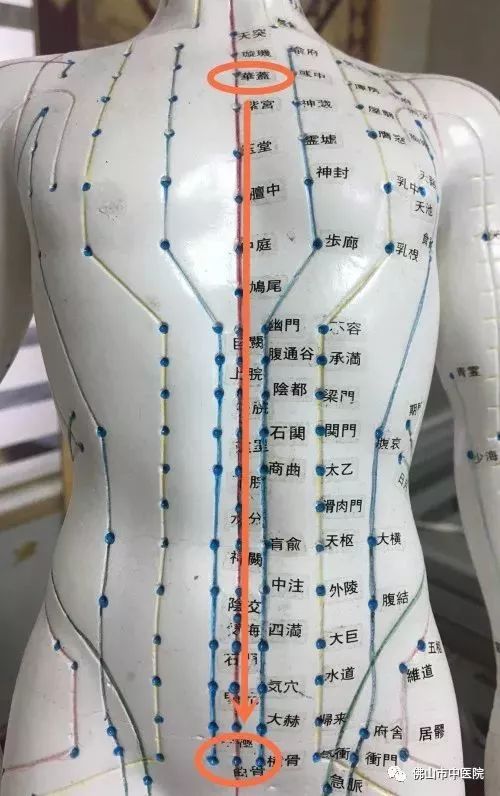 在两胸之间的华盖穴,一条直线推到小腹部位的曲骨穴,分别经过"华盖