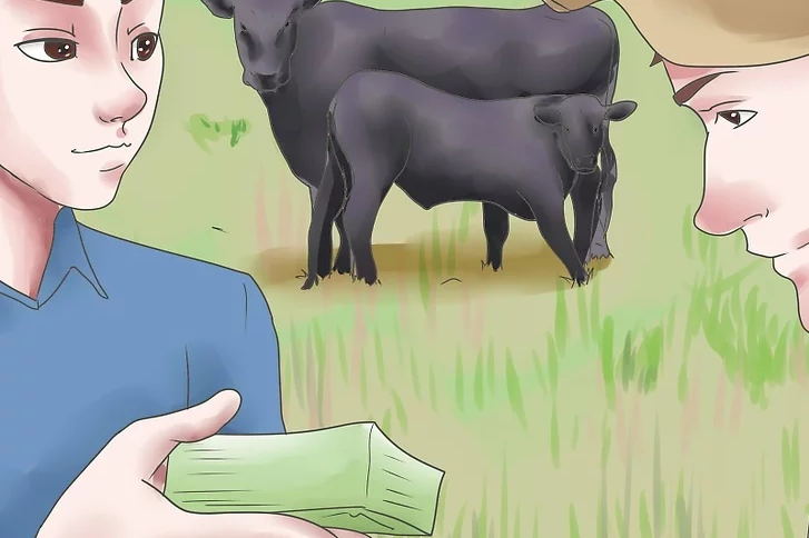 养殖创业日记:创业打算养牛,要做足哪些工作?