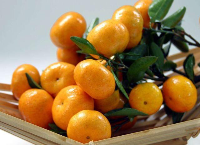 什么水果能健脾祛湿可以祛湿排毒的水果和食物有哪些