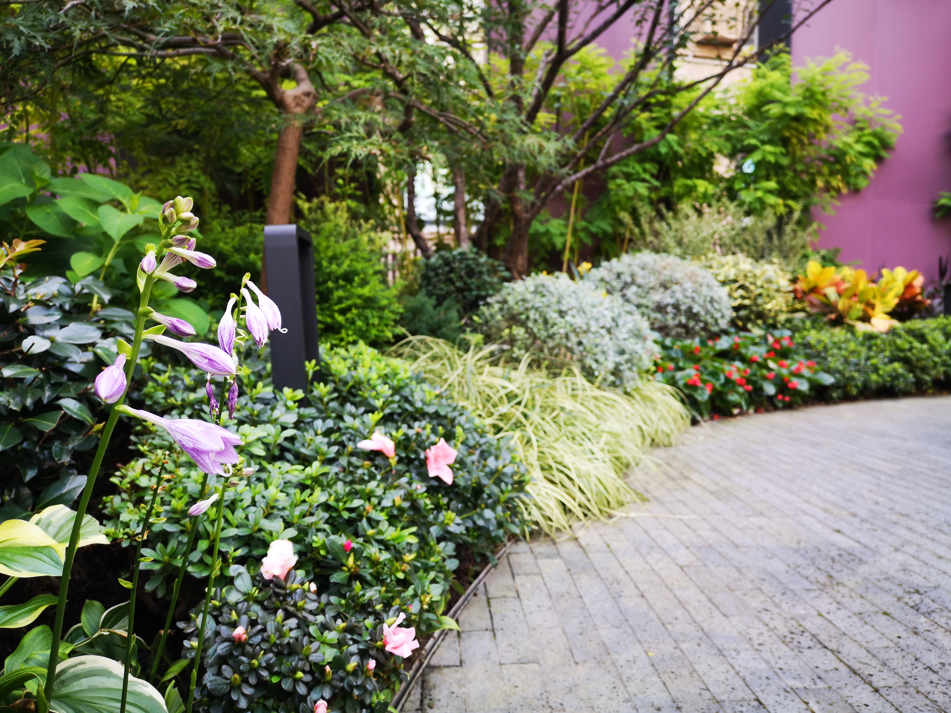 上海巧用边角料地块已为市民建151座街心花园