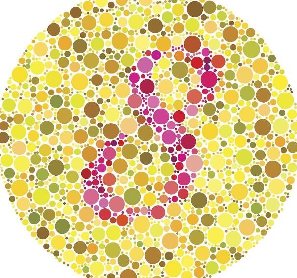 我们生活的世界原本到底是什么样子让全色盲的眼睛告诉你