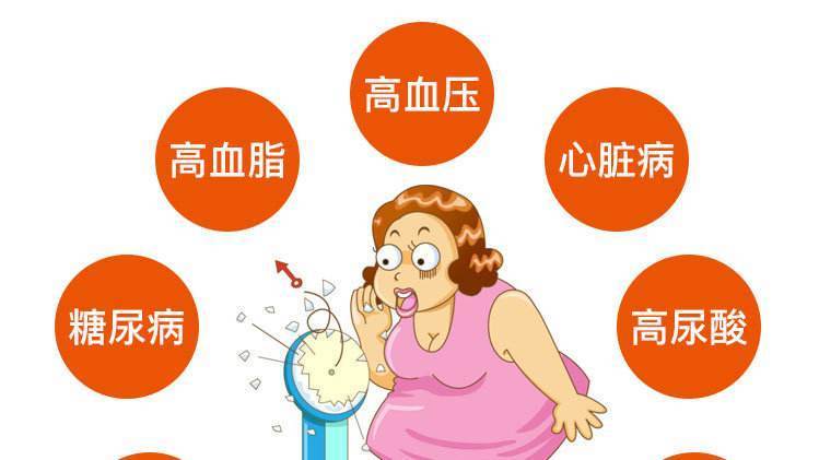肥胖对人体有什么危害呢?__凤凰网