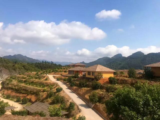 放飞身心的奇妙旅游胜地——百花山农场.