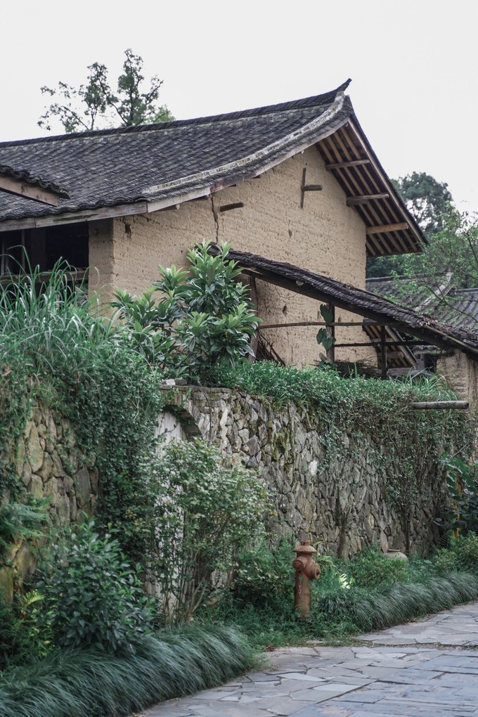 泰顺雅阳塔头底古村落图片