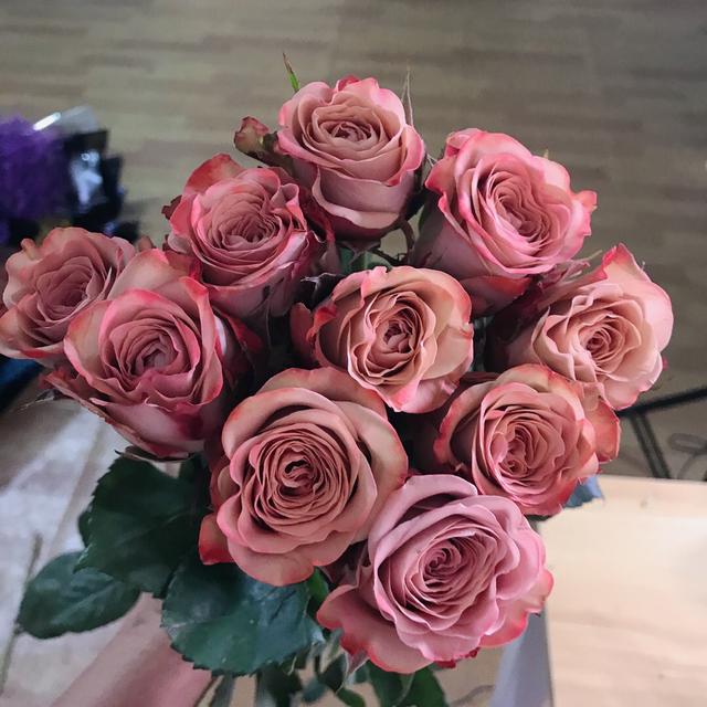 鲜切花 独特的复古咖啡色卡布奇诺玫瑰,高级又浪漫__凤凰网