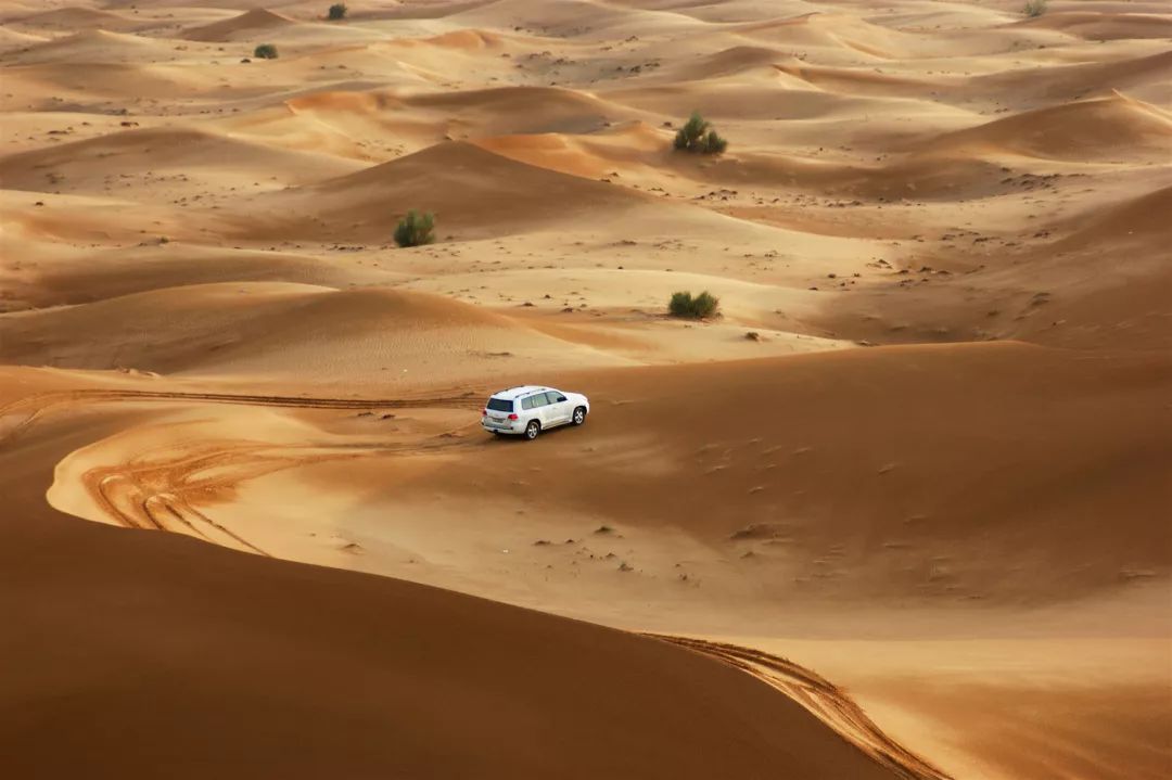 卡塔尔,沙漠与海洋的交界,下届世界杯的举办地