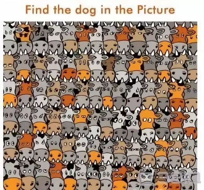 眼力智力一起考10张神奇图片居然有80的人答错