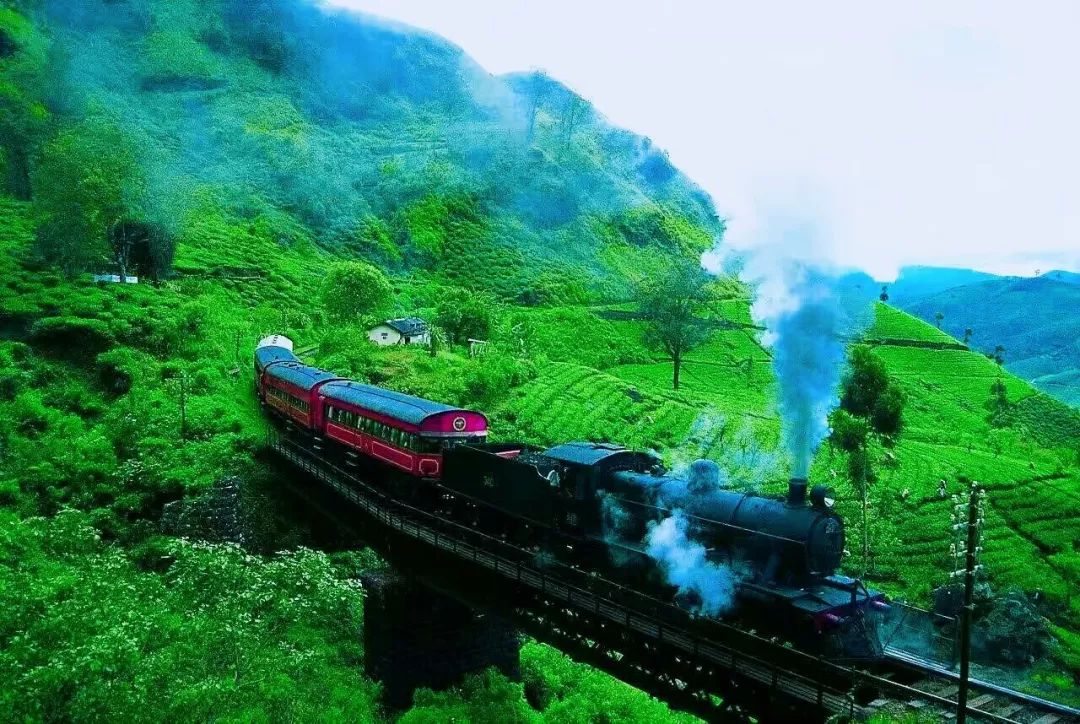 体验行驶在海拔2000米左右绿野仙踪的高山小火车