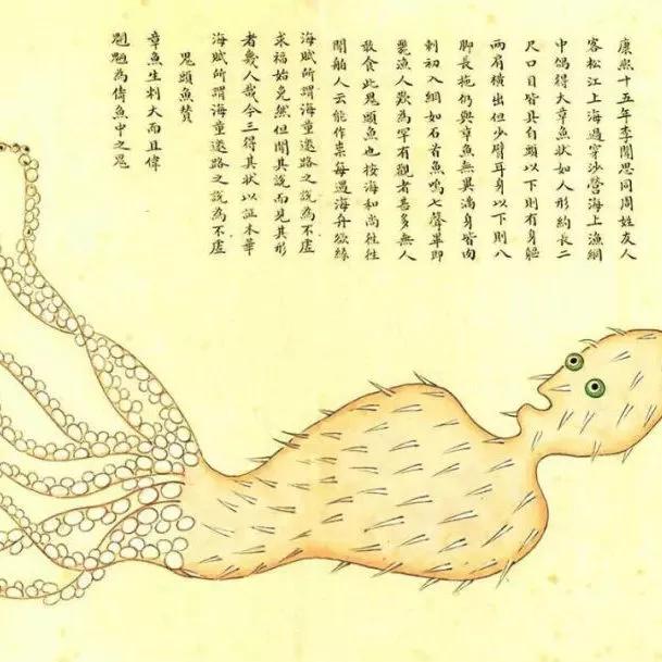 《海错图》穿越百年邀你来看昆明的"海底总动员"!