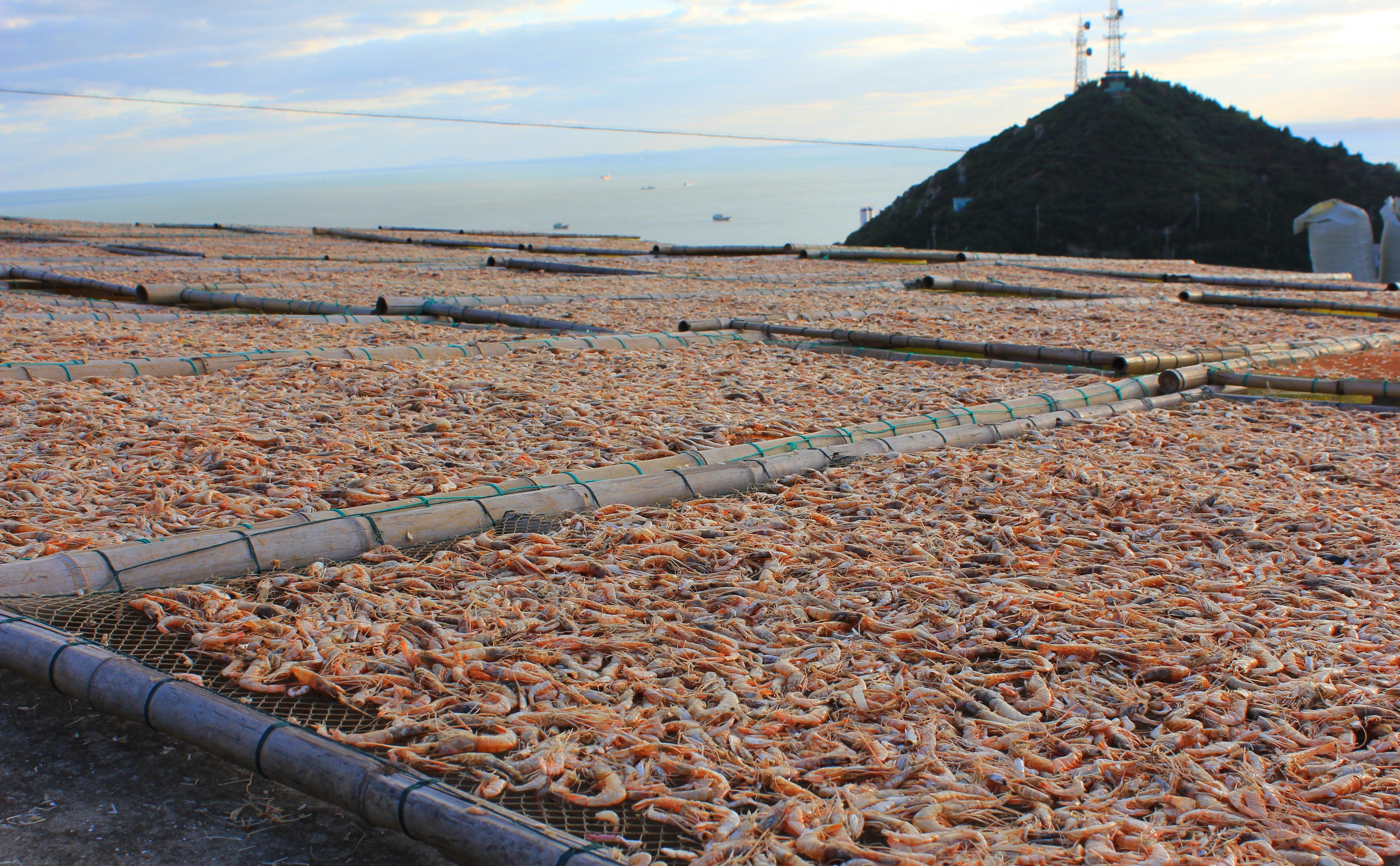 嵊山镇位于浙江省的东北部,嵊泗县的最东端,全国著名的舟山渔场中心