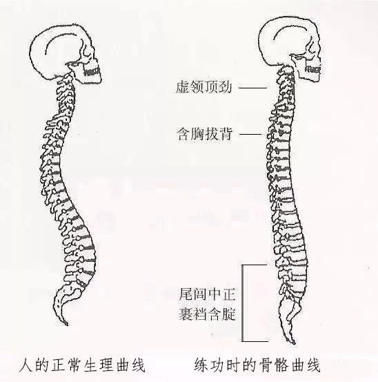 練太極拳脊椎沒感覺,原來是因為犯了這個錯誤!