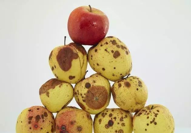 邪淫都有哪些"隐形"的果报?看后让你彻底戒除