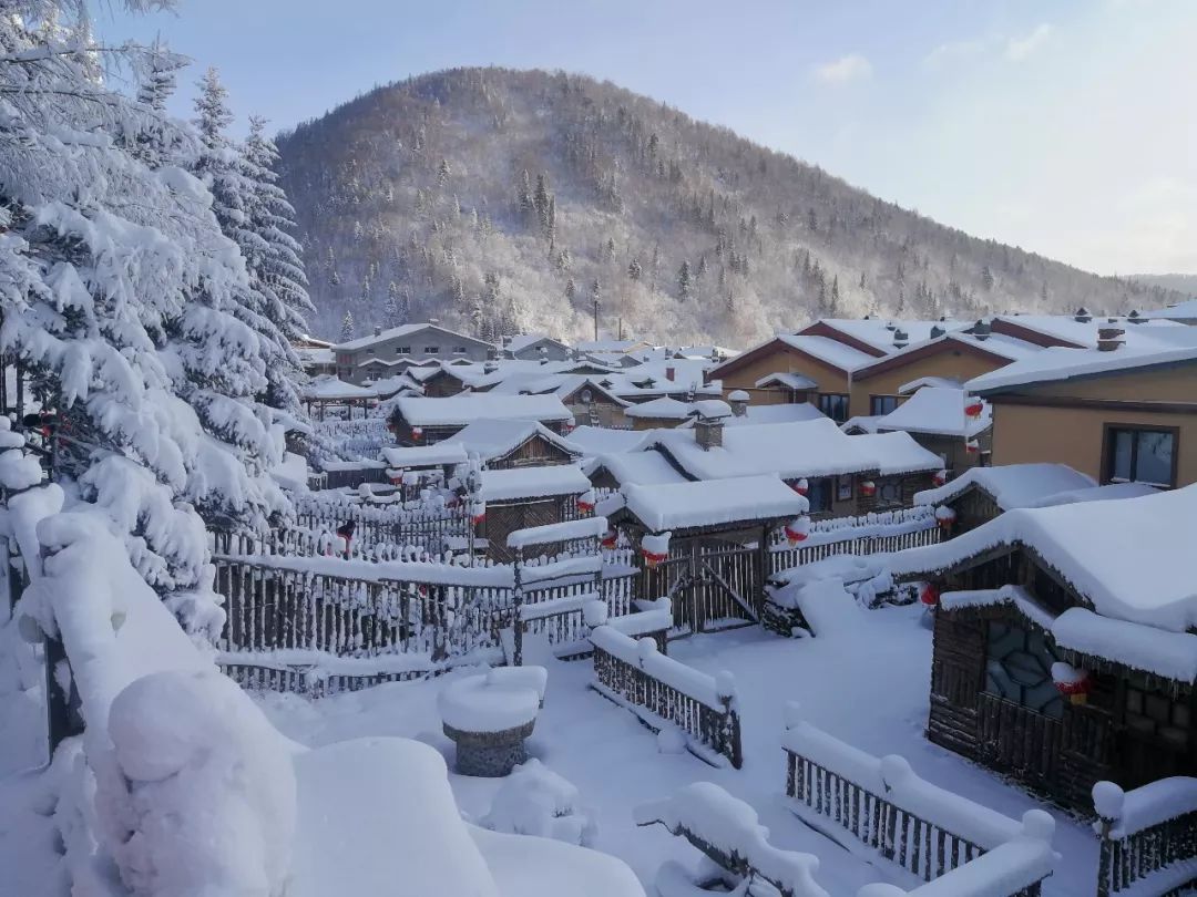 你怎么这么好看！暴雪后的雪乡美出新高度，明日将开园迎客~__凤凰网