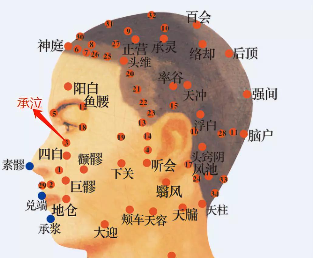 2 疏通阳明经络手法 在面部涂抹护肤乳或护肤精油后