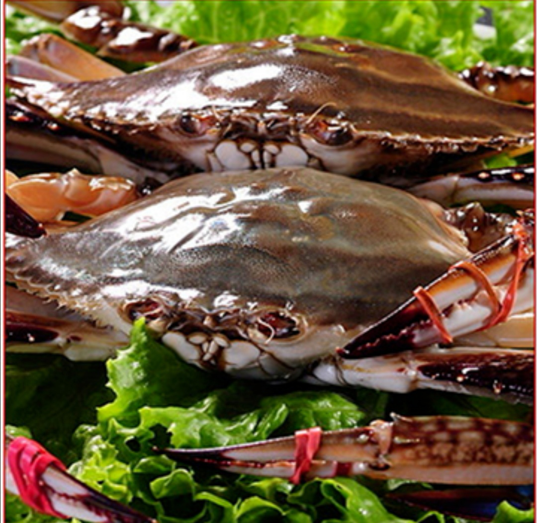 冬季的大连吃东沟飞蟹依旧贱