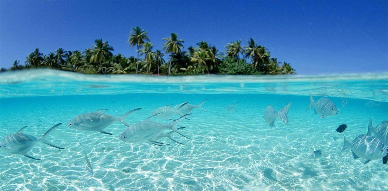 世界上最清澈的海域,水下能见度达70米,却被称为"海洋坟场"__凤凰网