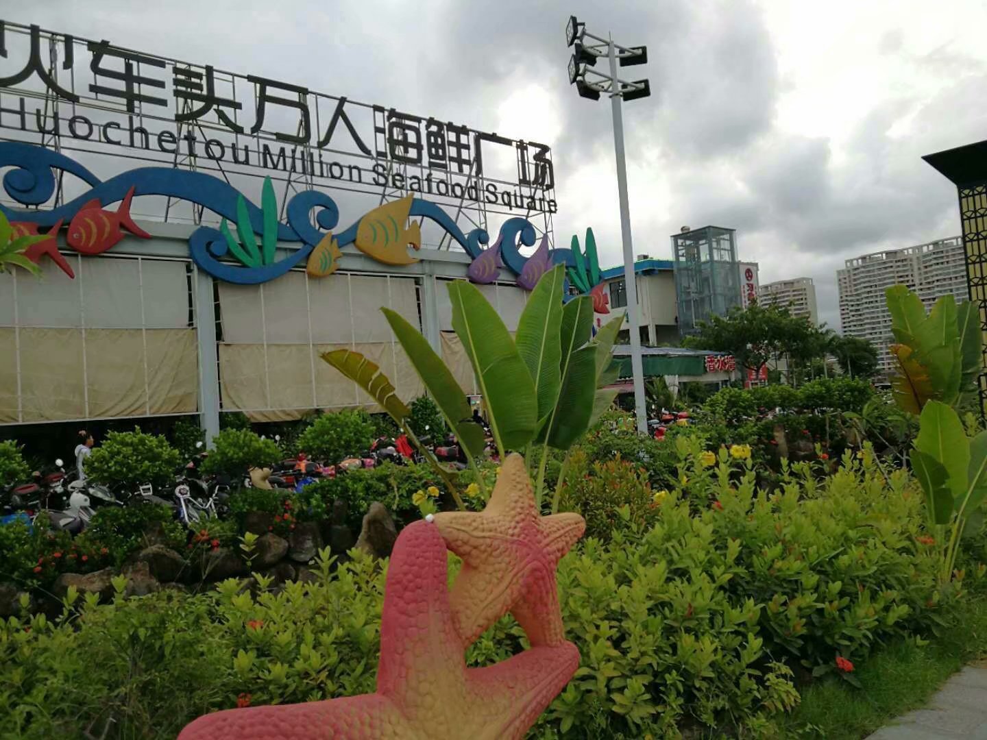 遇见丁村万人海鲜广场,品味网红林姐海鲜__凤凰网