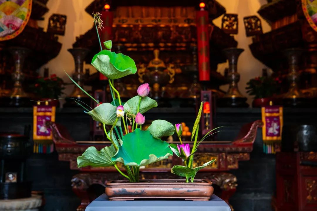 花与佛教有哪些联系,佛前为何需要供花?__凤凰网